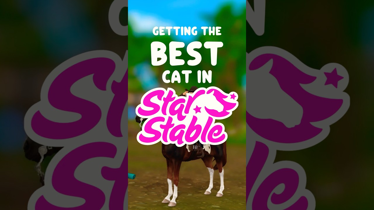 this is literally star stable&rsquo;s cutest cat&hellip;ever. #starstable #starstableonline #sso