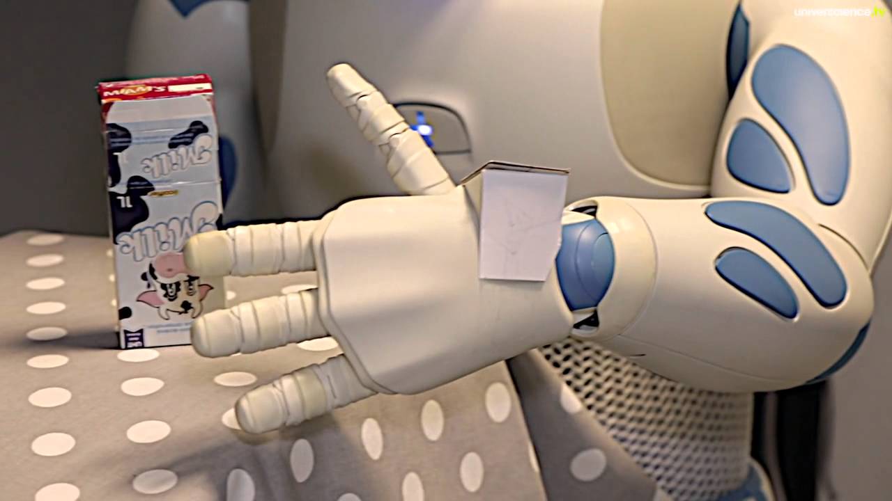 Roméo, le robot qui vous veut du bien