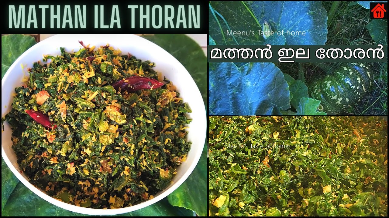 മത്തൻ ഇല തോരൻ ഇങ്ങനെ ഒന്നുണ്ടാക്കി നോക്കൂ/HowToMake Naadan Mathanila Thoran Recipe~Meenustasteofhome