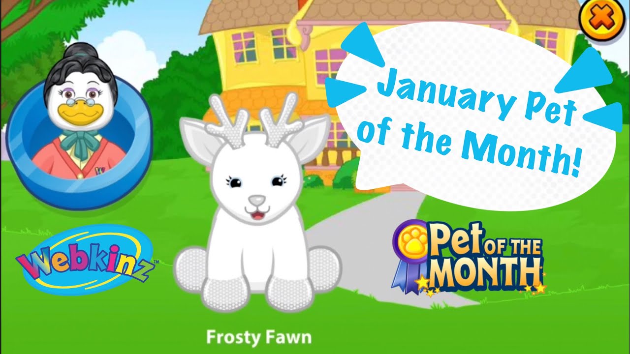 Adopting the Pet of the Month in Webkinz classic! 