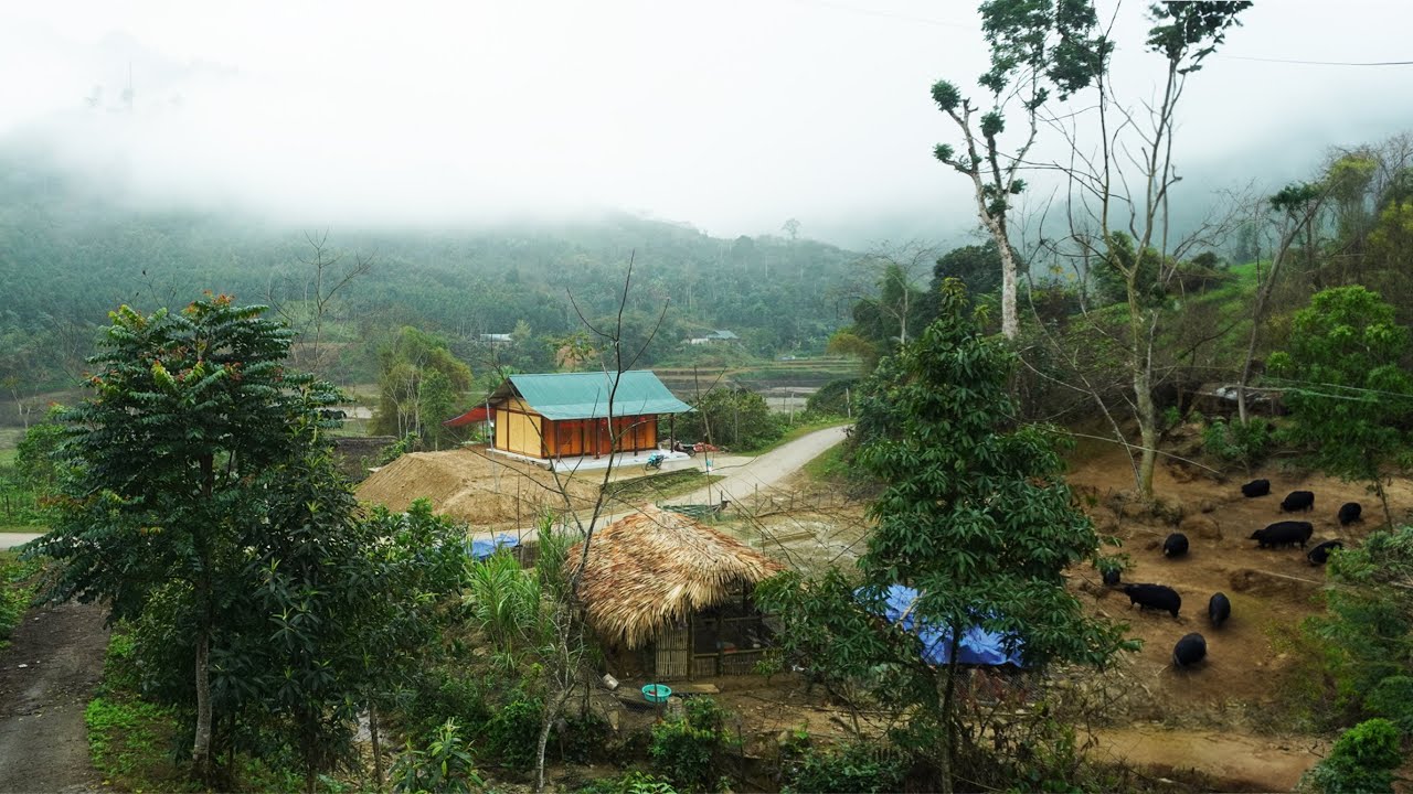 Timelapse: 60 Days of building a new farm, expanding the farm, pigs - chickens - geese thrive