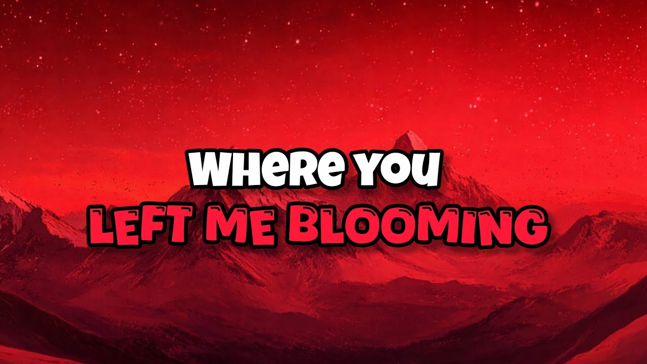 Where You Left Me Blooming (Official Audio) | HADI MODI RECORDS