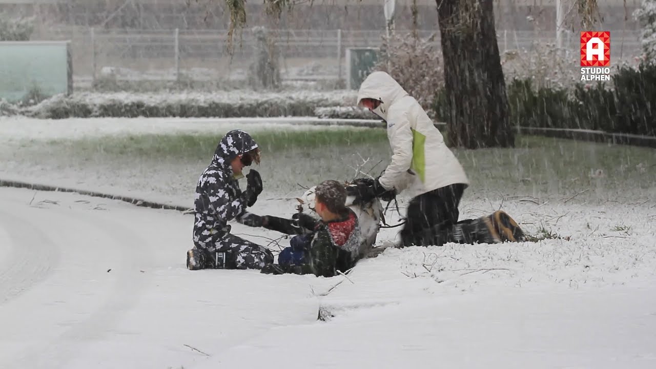Sneeuw in Alphen aan den Rijn
