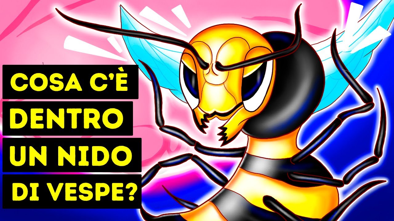 Cosa Vedresti Se Guardassi Dentro un Nido di Vespe