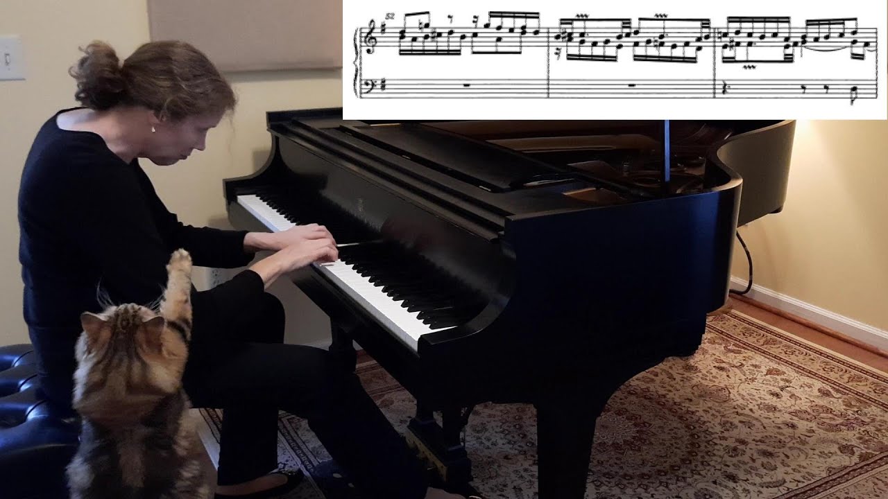Partita No. 5 in G Major, BWV 829 by J.S. Bach