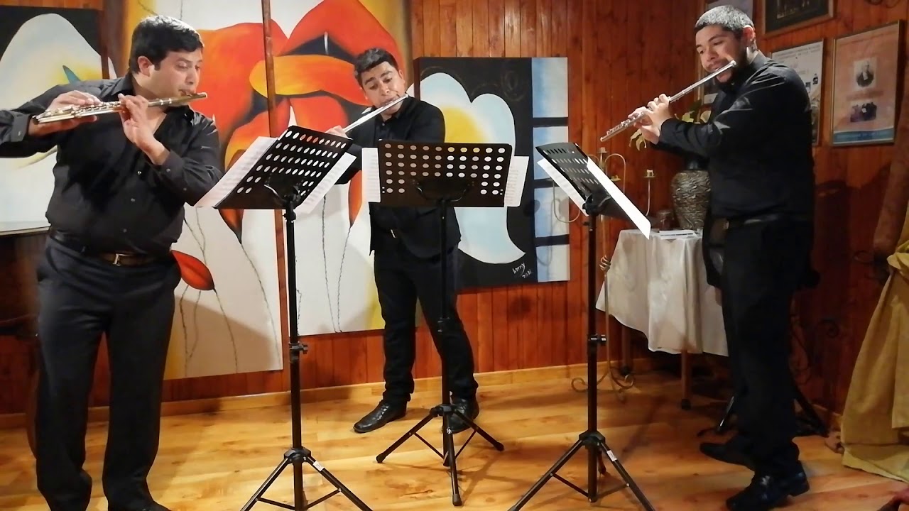 W. A. Mozart - Le nozze die Figaro K. 492, Overture for Flute trío Arr. Henry Lea