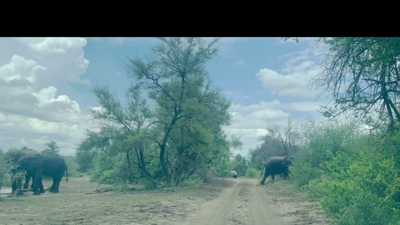 An Intriguing Trip to Divundu - Kavango East Region Namibia Dec 2023