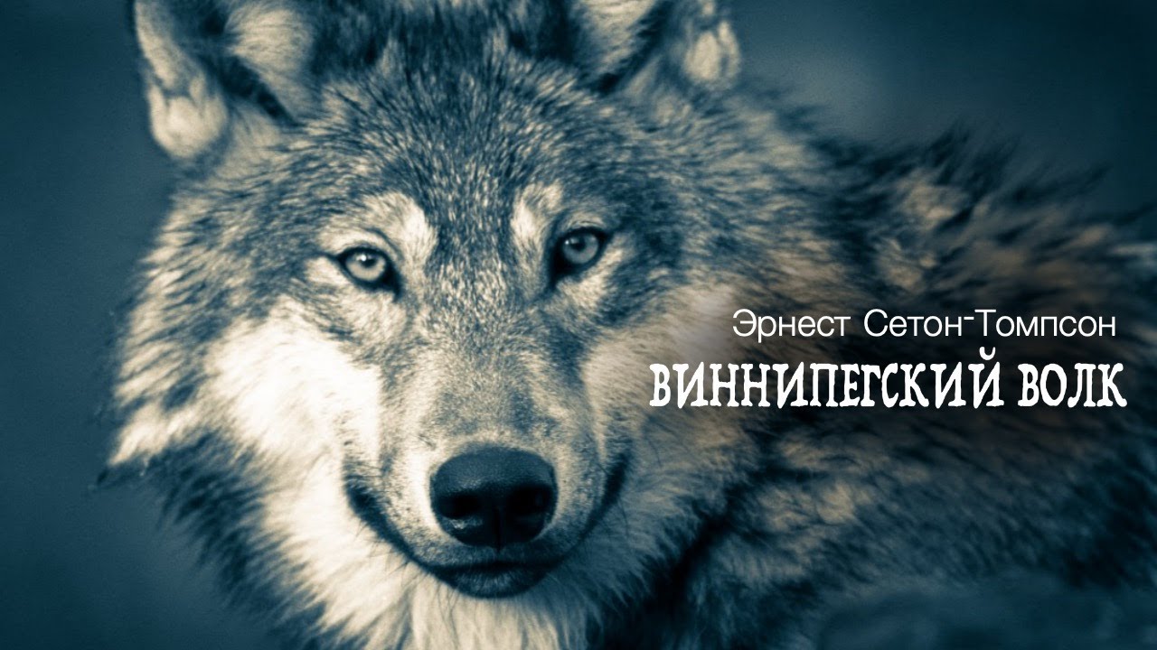 &laquo;Виннипегский волк&raquo;. Эрнест Сетон-Томпсон. Аудиокнига. Читает Владимир Антоник