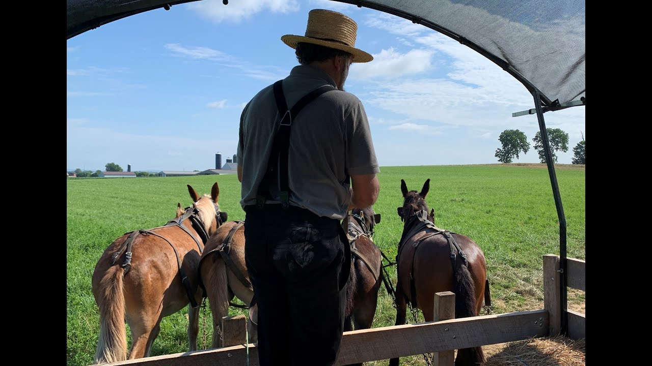 Private Tour of an Amish Farm!  Old Windmill Farm Part 1: Horses, Harvests & Hayrides #lancasterpa
