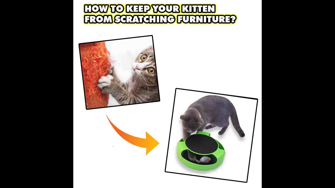 Interactive Cat Toys with Rotating Running Mouse