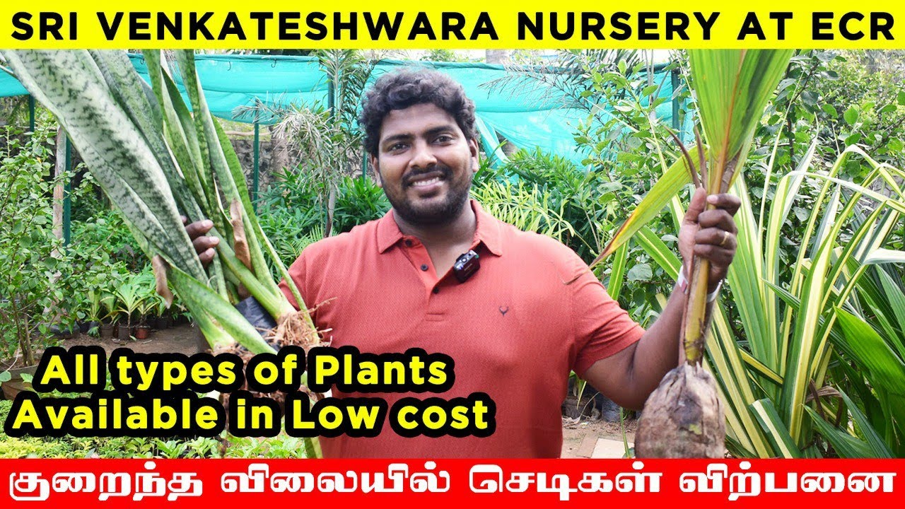 ECR Sri Venkateshwara Nursery | Plants are available from 10 Rs | One of the Must Visit Nursery