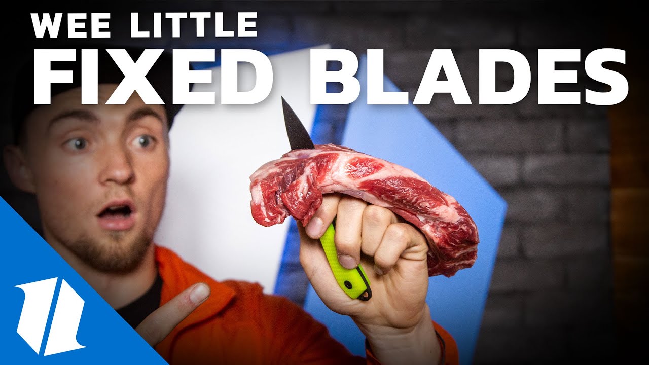 Ultimate Small Fixed Blade Test & Comparison | Week One Wednesday | Live