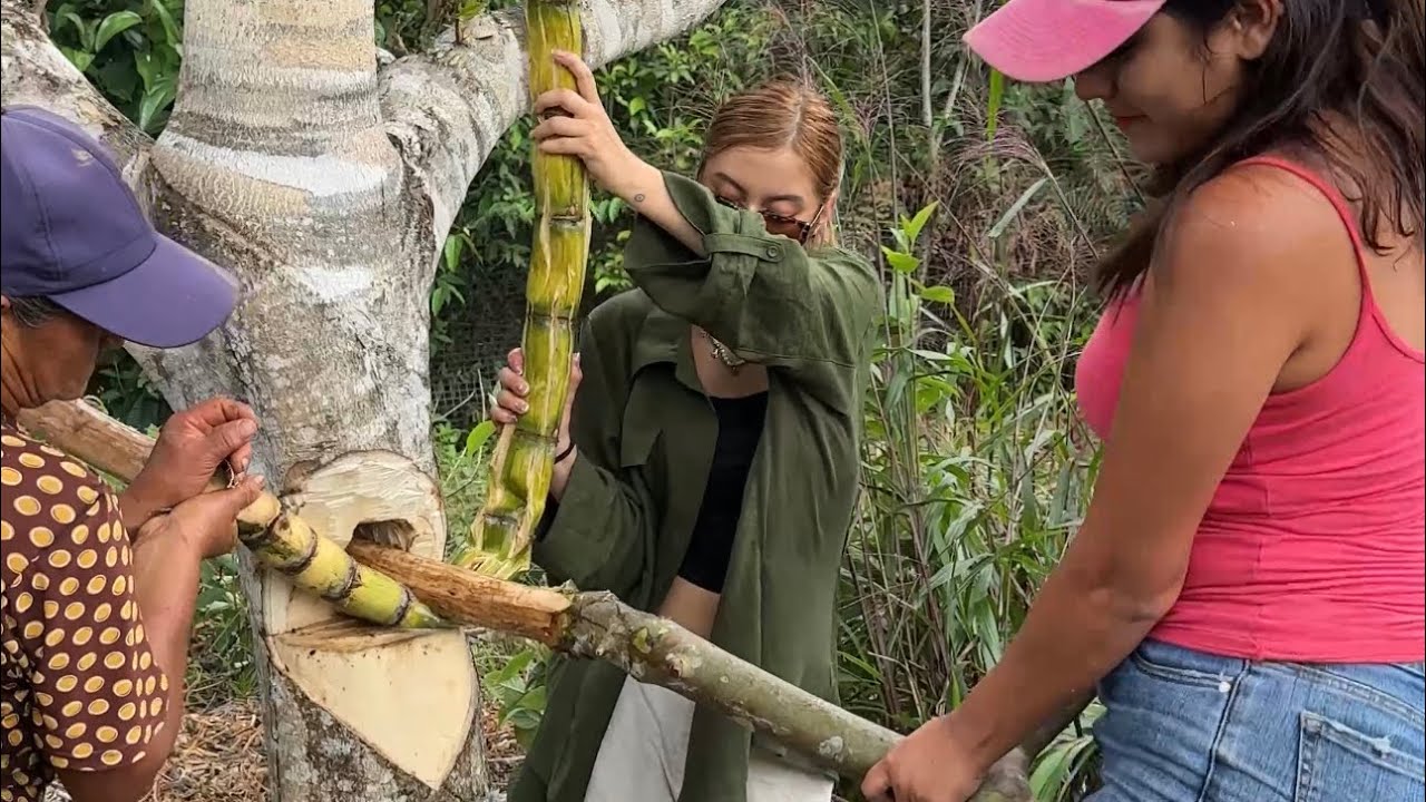 Así funciona el Trapiche Artesanal de Árbol 🌳 ~ Saida ZC ~ 💚