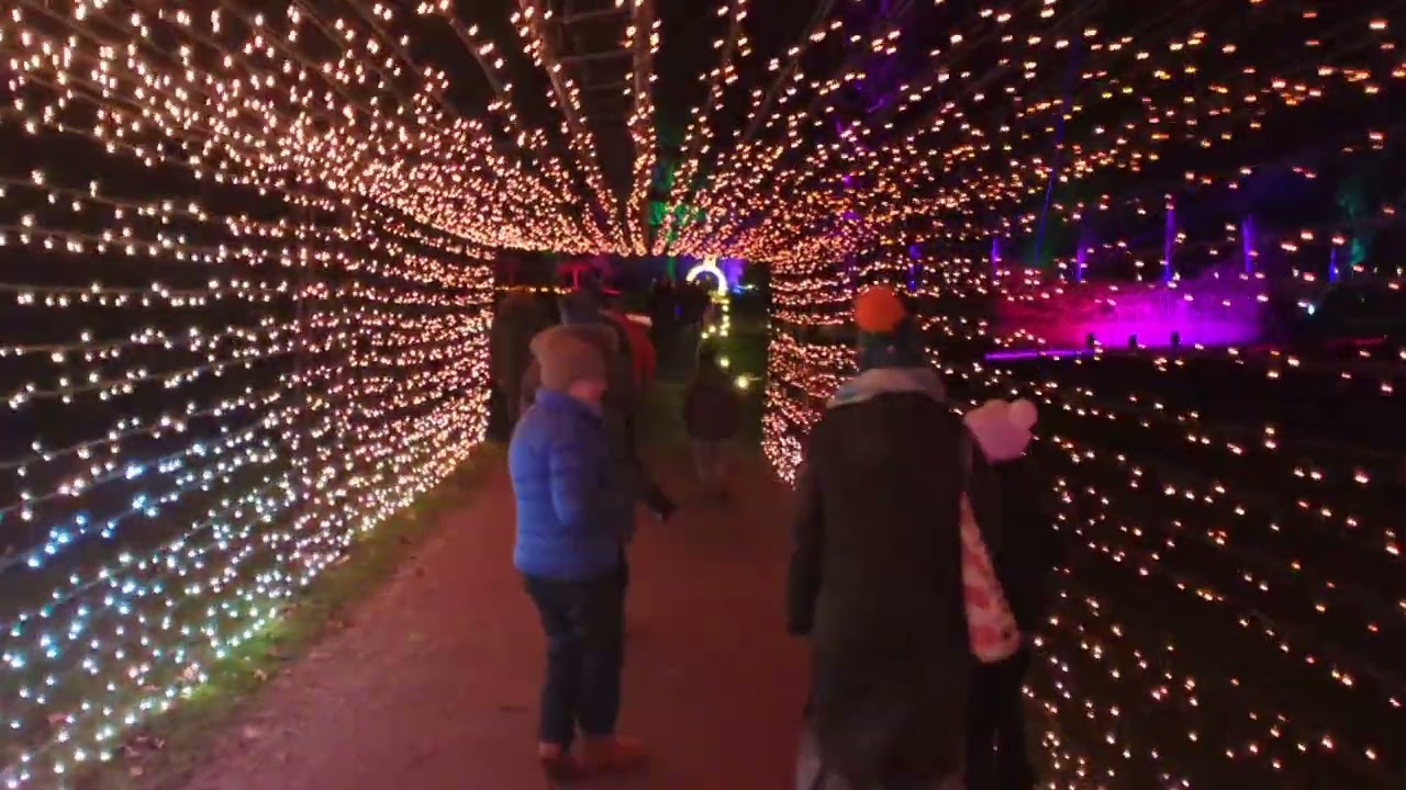 Visiting The Enlightened Light Trail At Markshall Estate in Coggeshall near Colchester!