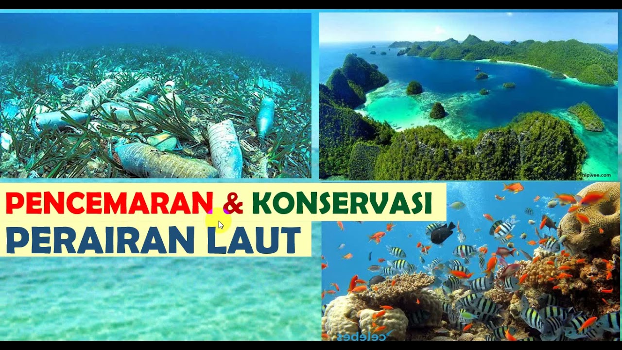 Geo X. 41. Pencemaran & Konservasi Perairan Laut.