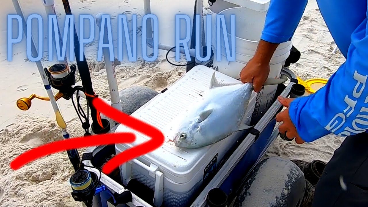 Spring Pompano RUN! How to catch Pompano Surf Fishing Florida Panhandle, Pensacola Fishing.