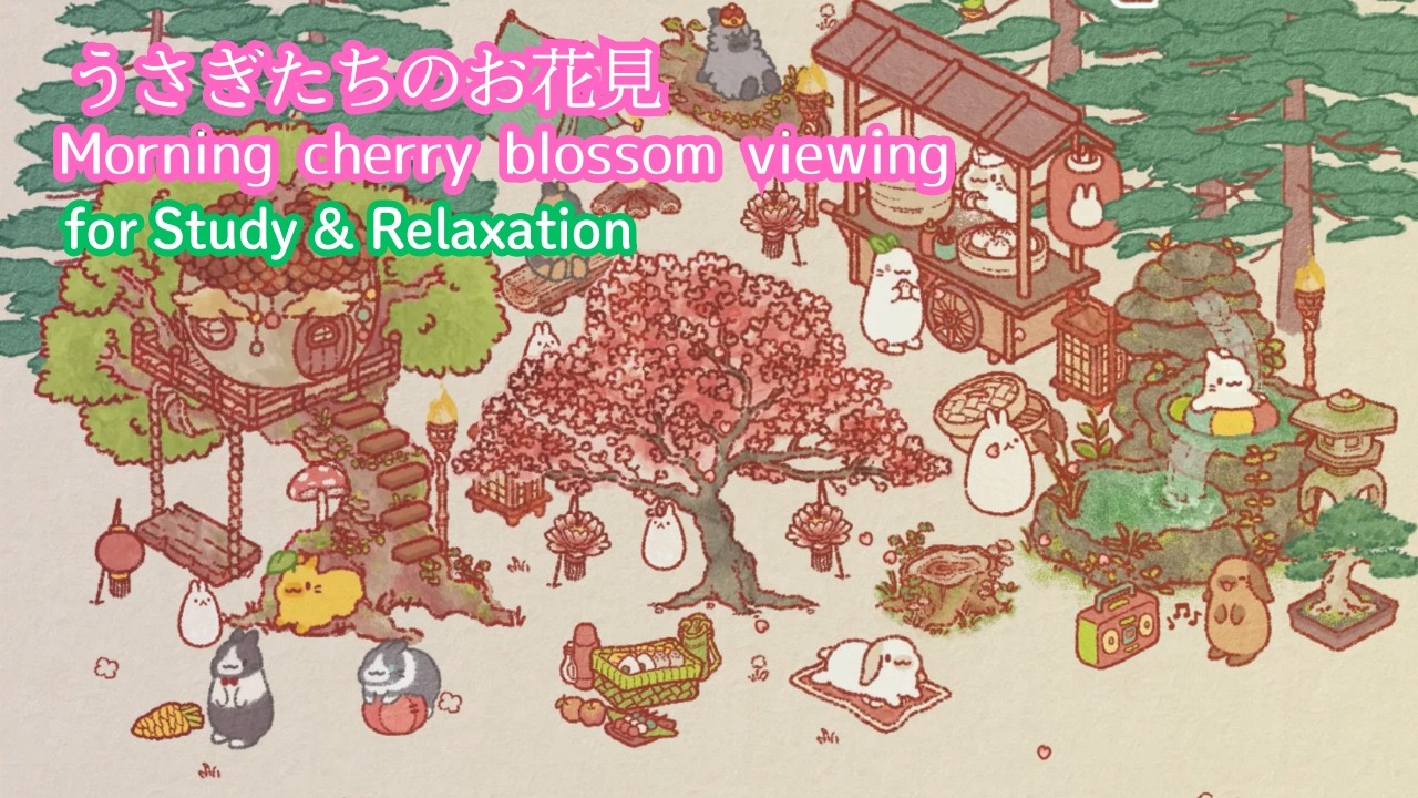 Morning Cherry Blossom Viewing 🌸 Acoustic for Study & Relaxation|うさぎたちと朝のお花見🌸