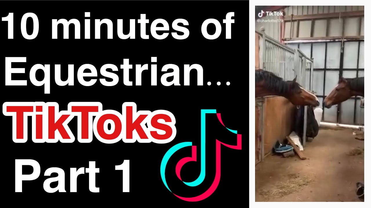 TikToks for Equestrian