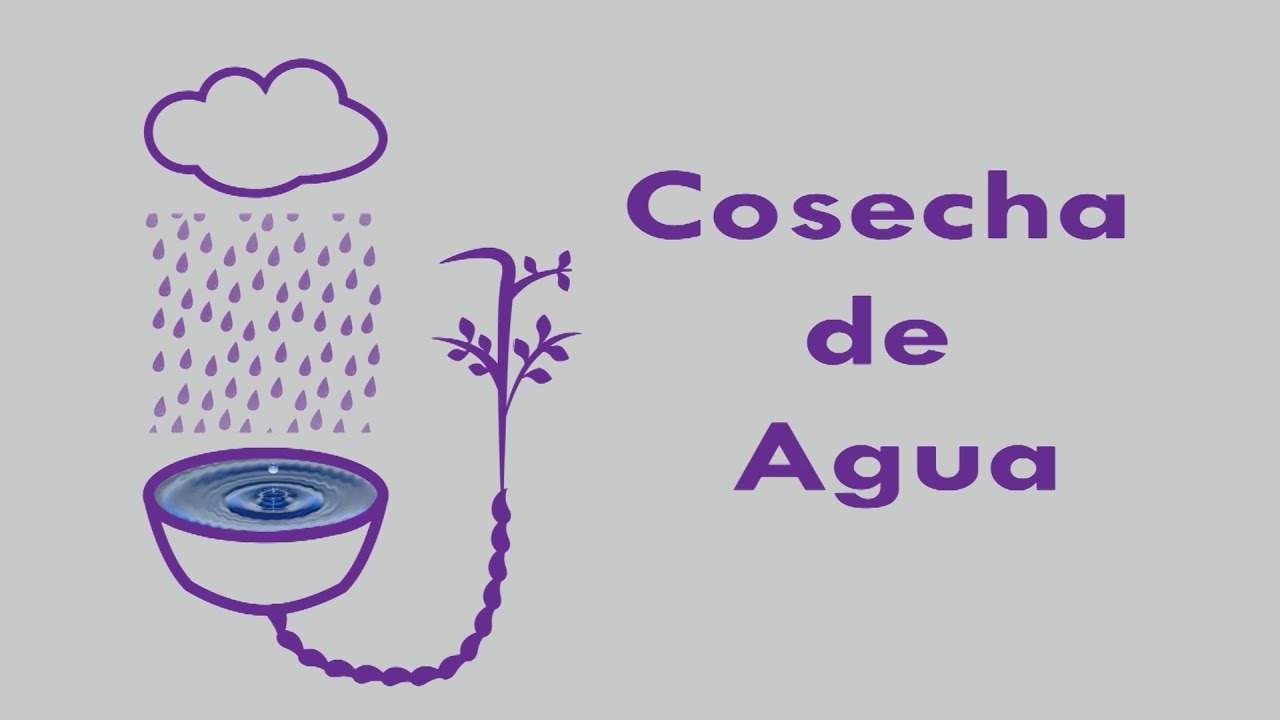 Sistema de Cosecha de Agua de Lluvia - Red Hábitat