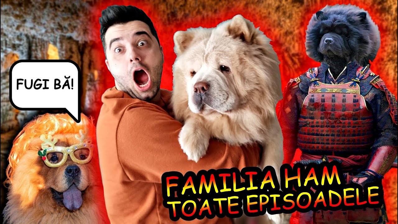 FAMILIA HAM 🐶 | Sezonul 1 | Toate episoadele