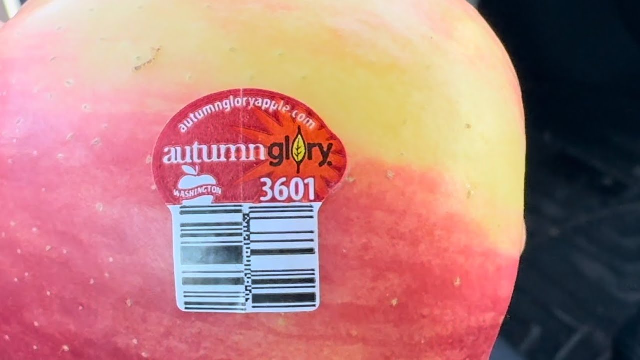 Autumn Glory and Opal Apple taste test