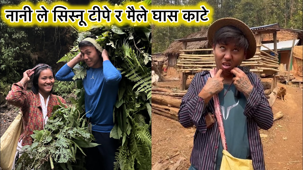 Sisnu ra ghas ko lagi jungle tira lagiyo😊❤️🙏@DonaThapaAkaChocolateyBoy