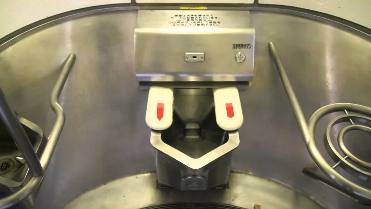 Amazing Japanese toilet
