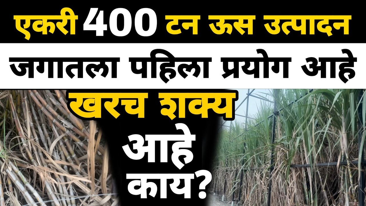 एकरी 400 टन उत्पादन शक्य? | खरच शक्य आहे काय? | Dnyaneshwar Kharat Patil