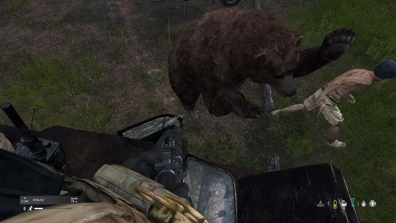 DayZ_20260218220821