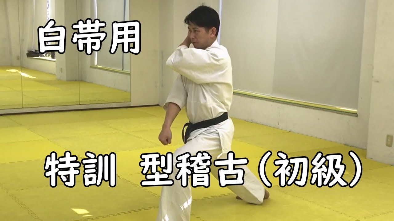 【白帯】型稽古 順番覚える ゆっくり【誠真会館 非公式】