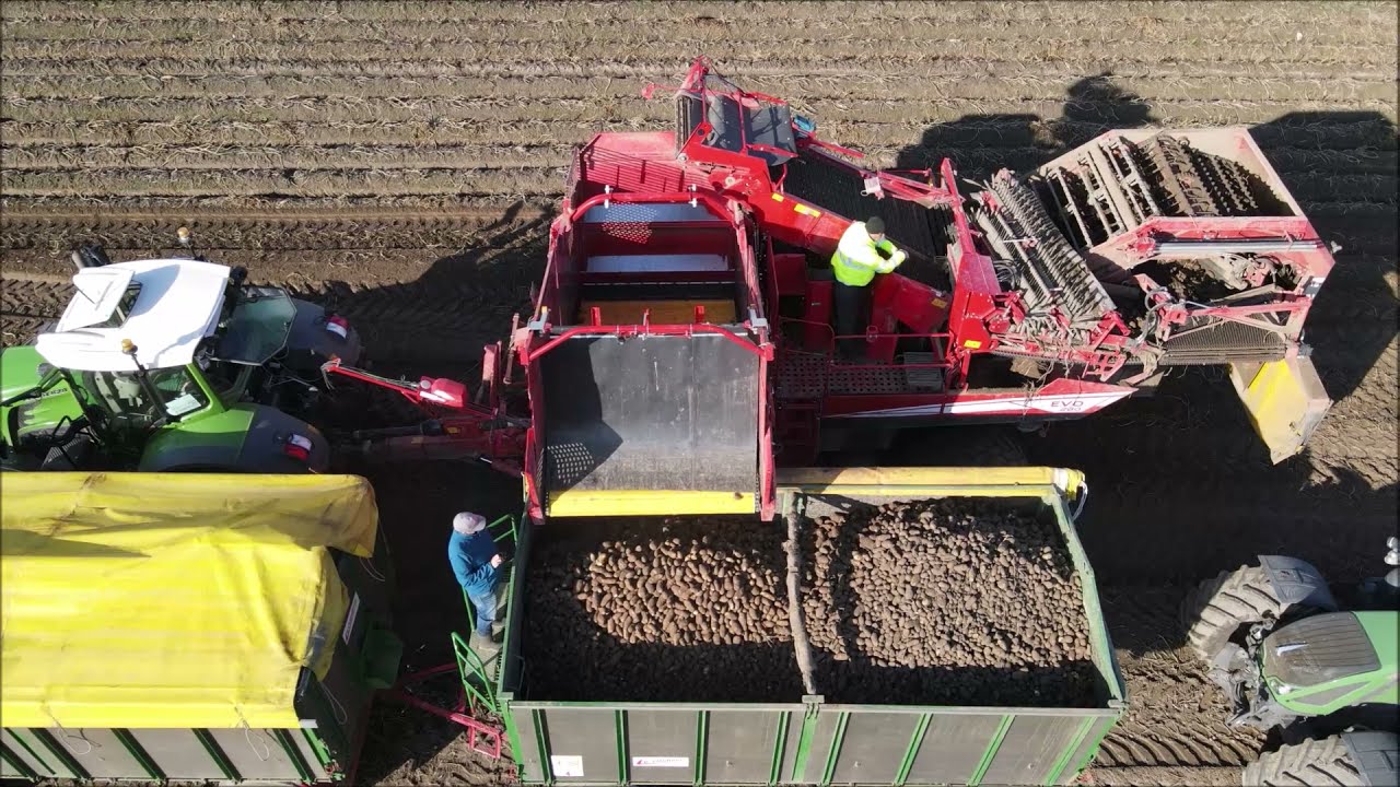 Kartoffelernte mit den Keiler 2, EVO 280 und den SE 150-60 von Grimme.