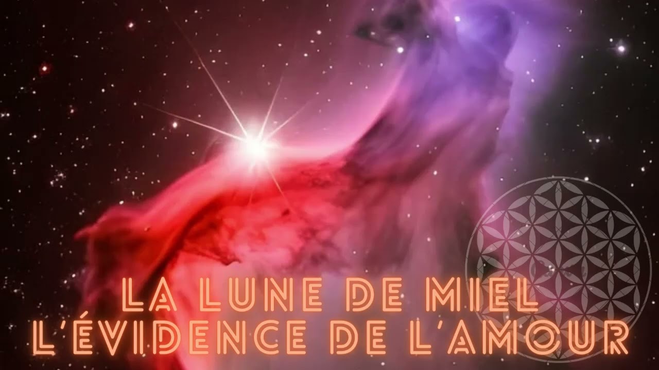 Couple conscient - La lune de miel