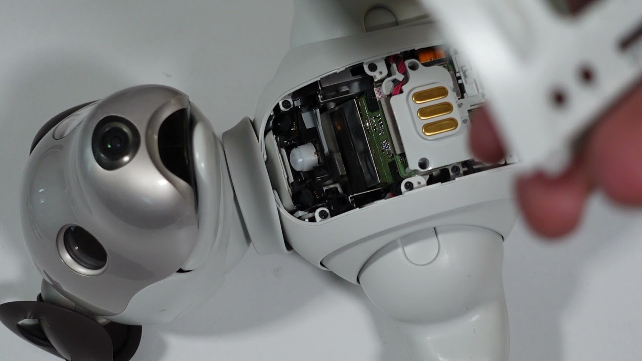 Aibo 1000 Main Body Disassembly Guide