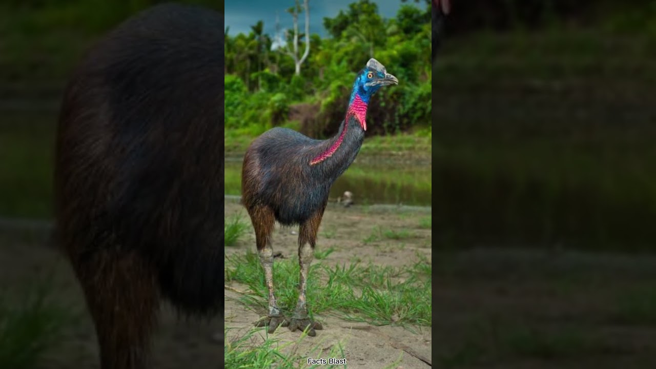 The Scariest Bird Sound Ever 😱 | Ye Awaaz Sunke Dar Jayoge! #shorts