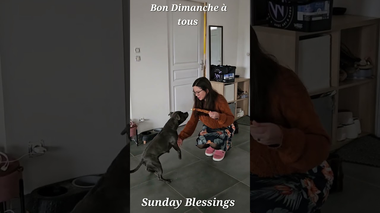 Très bon Dimanche 18 Janvier 2026 ❤️ 
