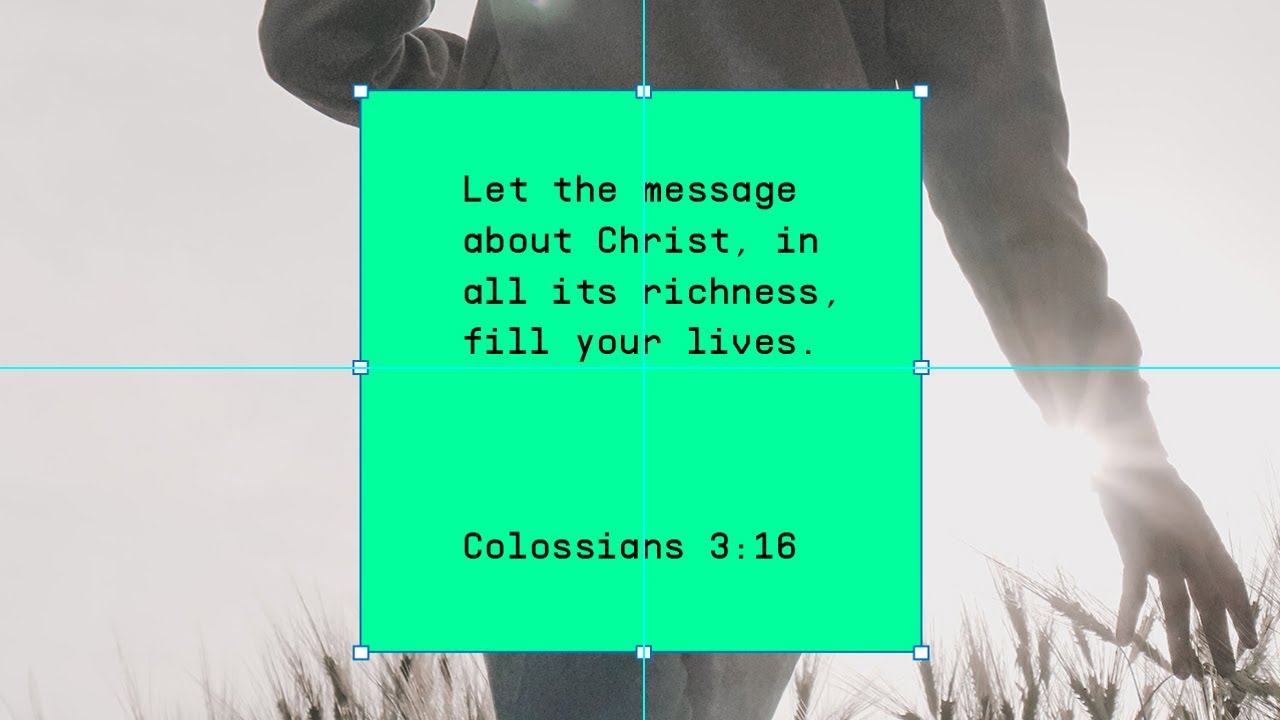 Verse of the day | Colossians 3:16 | five minute devo