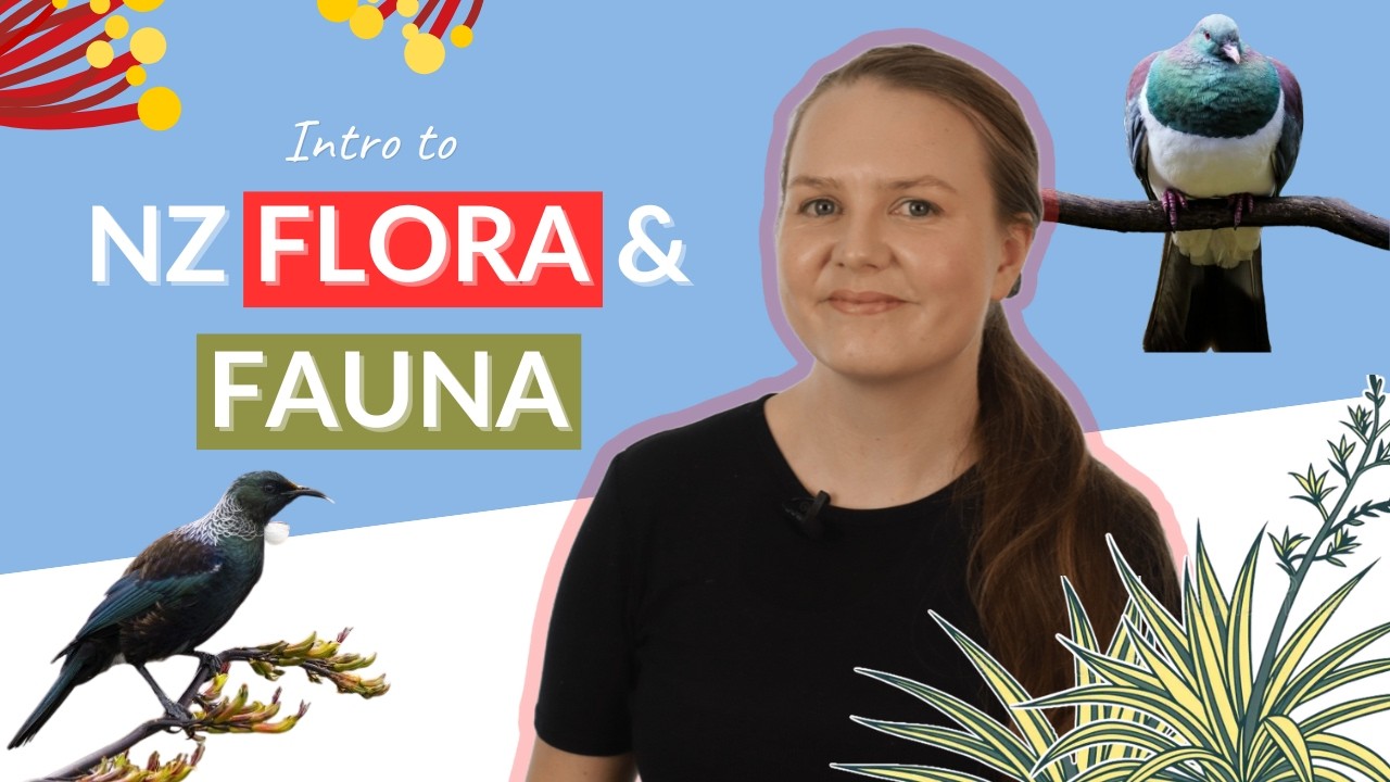 NZ Flora & Fauna | Learn the names of native plants and animals in New Zealand (Māori & English)