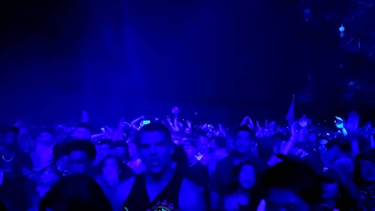 Bro safari 