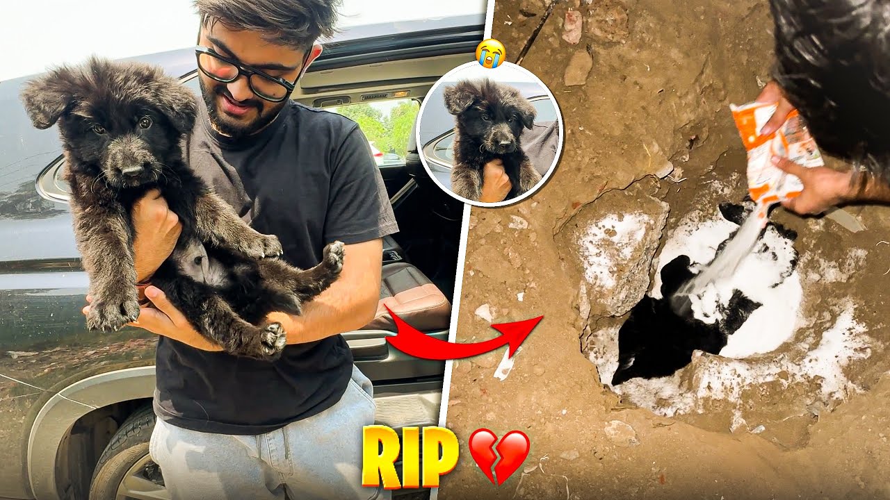 He left me and went away 😭 | JATIN GROVER