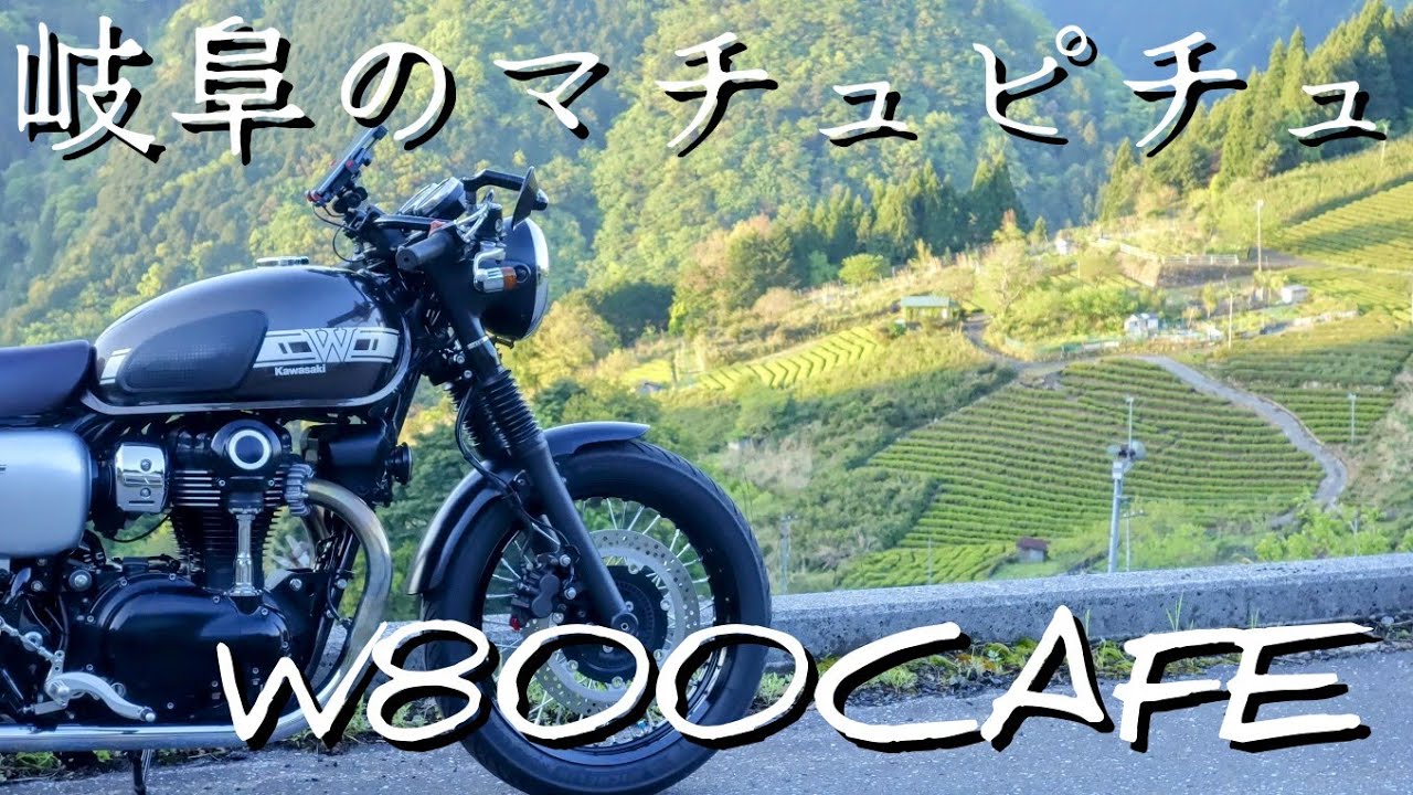 【W800CAFE】  岐阜のマチュピチュ  天空の茶園〜イビーナスツーリング