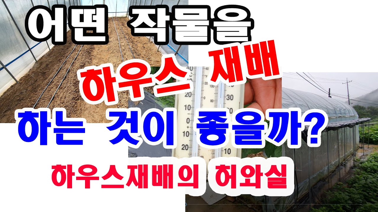 어떤 작물을 하우스 재배하는 것이 좋을까? 하우스재배 허와실(비닐하우스재배 장단점, 하우스 보온효과, 부직포터널의 보온효과, 물주머니 보온효과,비닐 하우스 작물 재배,)