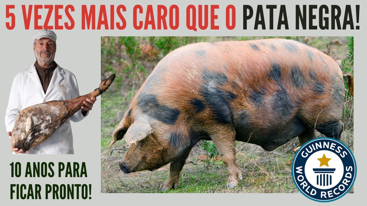 Conheça o Manchado de Jabugo e o Presunto que Entrou para o Livro dos Recordes!