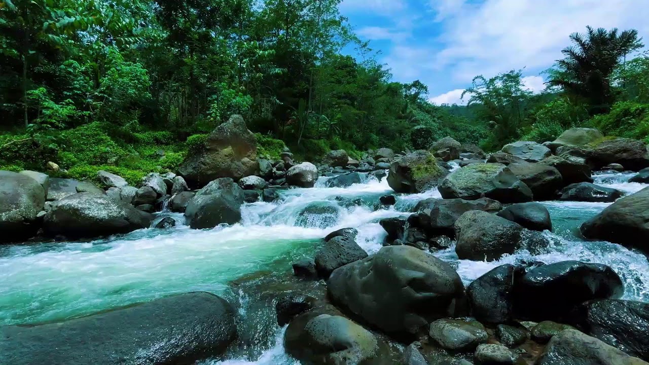 Fall Asleep Before This Video Ends | Gentle River Flow for Deep Sleep
