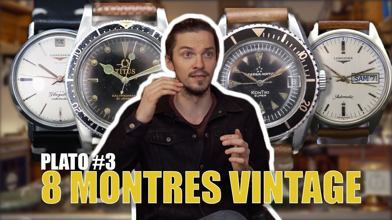 ON FAIT UNE VENTE AUX ENCHERES DE TOCANTES SUR CATAWIKI | PLATO #3