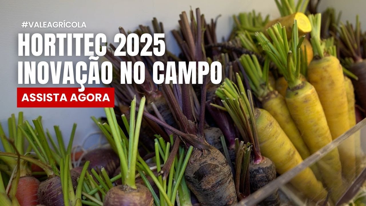 Colorido, eficiente e sustentável: o campo que está nascendo na Hortitec 2025!