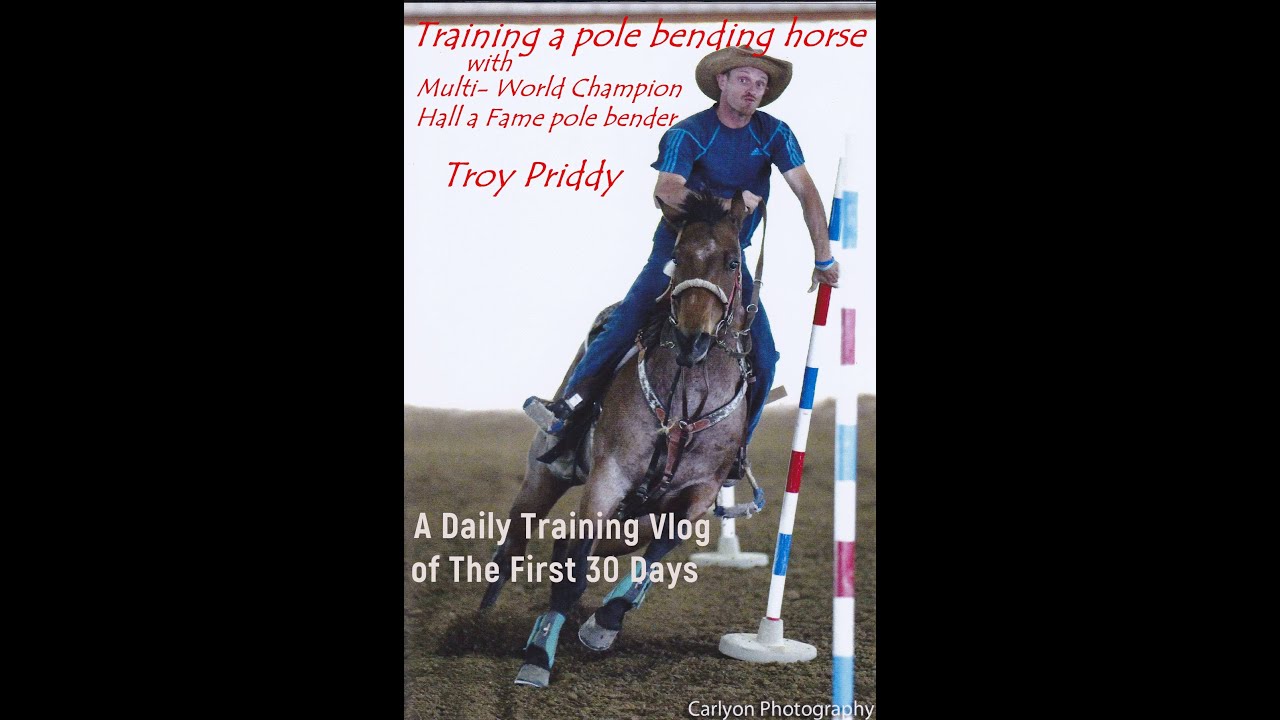 Training a Pole Bending Horse : Ep 2  Teaching Turning Drills