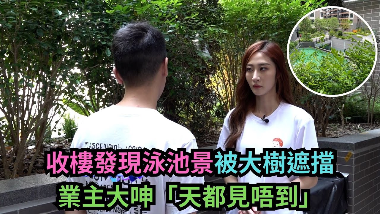 東張西望｜收樓發現泳池景被大樹遮擋 業主大呻「天都見唔到」｜買樓｜陳曉彤