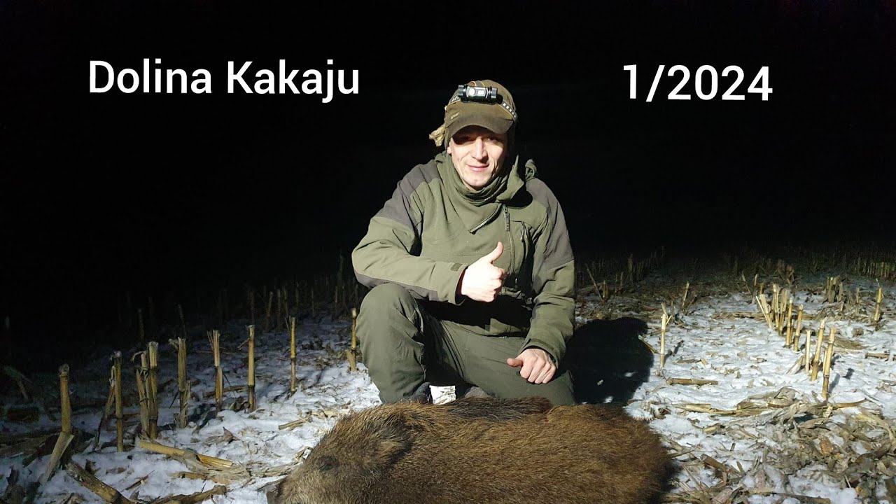 Dolina Kakaju 1/2024  Dzicza zimowa noc.