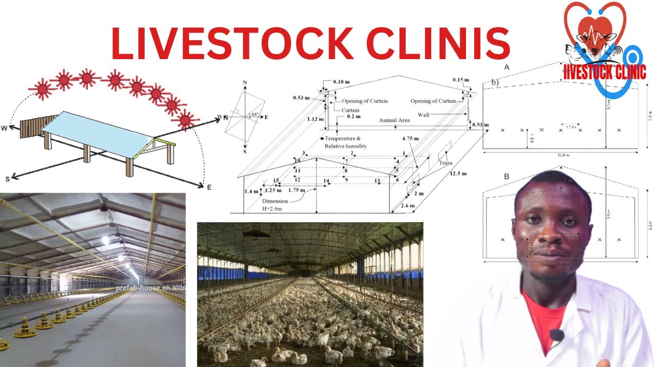 Standard poultry house dimensions and orientation