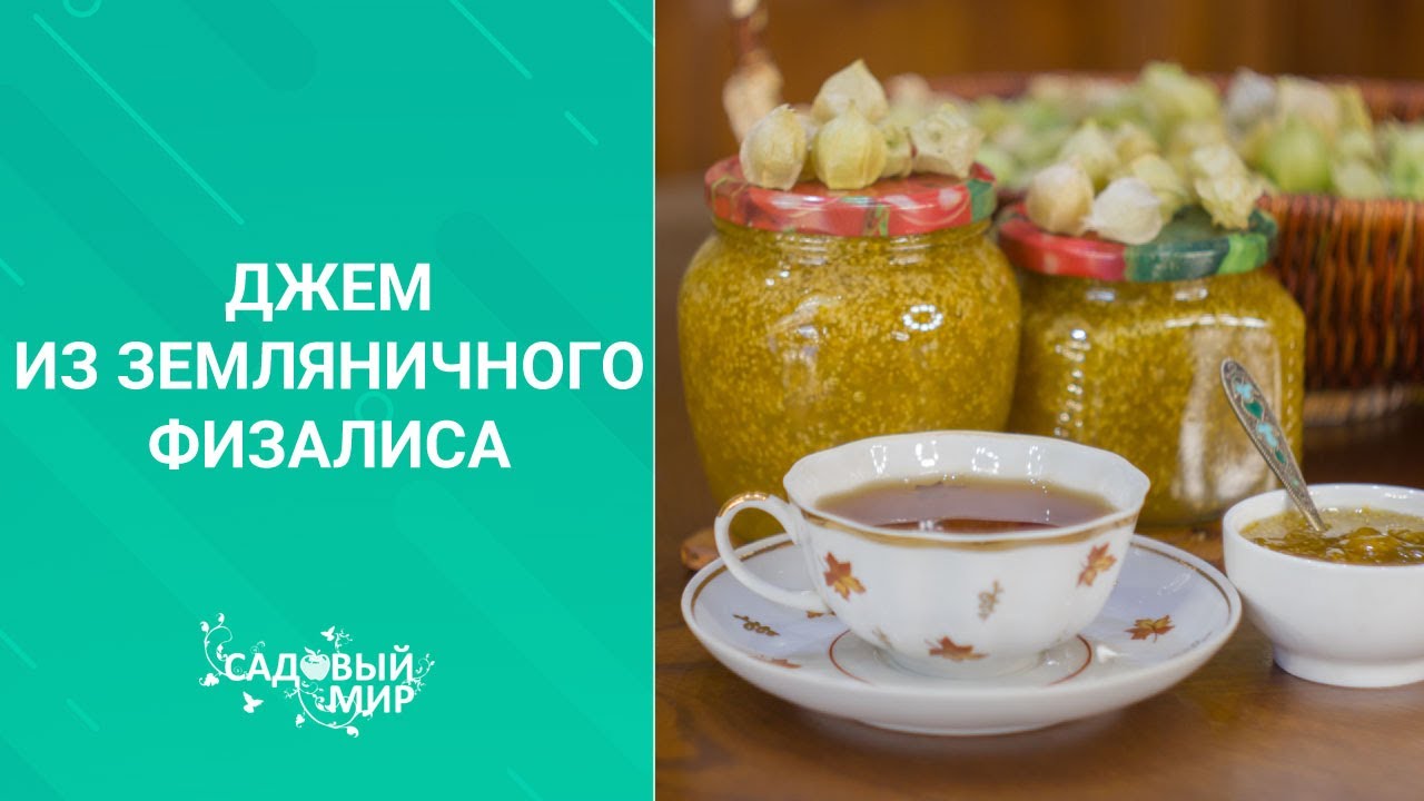 Это варенье стоит больше 1000 рублей. Мы его варим бесплатно. Готовим джем из земляничного физалиса
